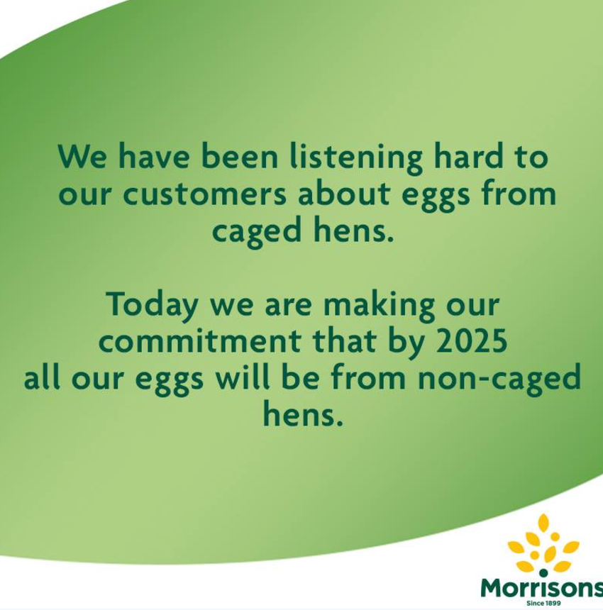 Free-range: All major supermarkets will sell eggs from non caged eggs by 2025 thanks to Lucy's campaigning  